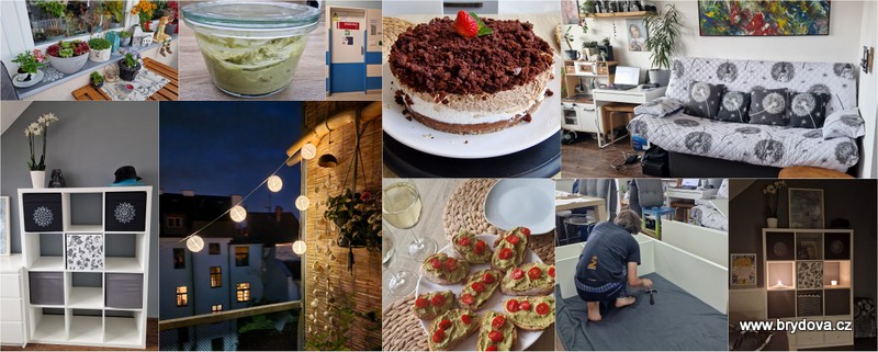 Vlog 996/24 – CT, krtkův dort, guacamole a Kallax