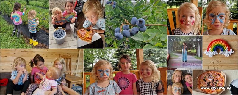 Vlog 1031/24 – borůvky, pizza a Mateřská dovolená